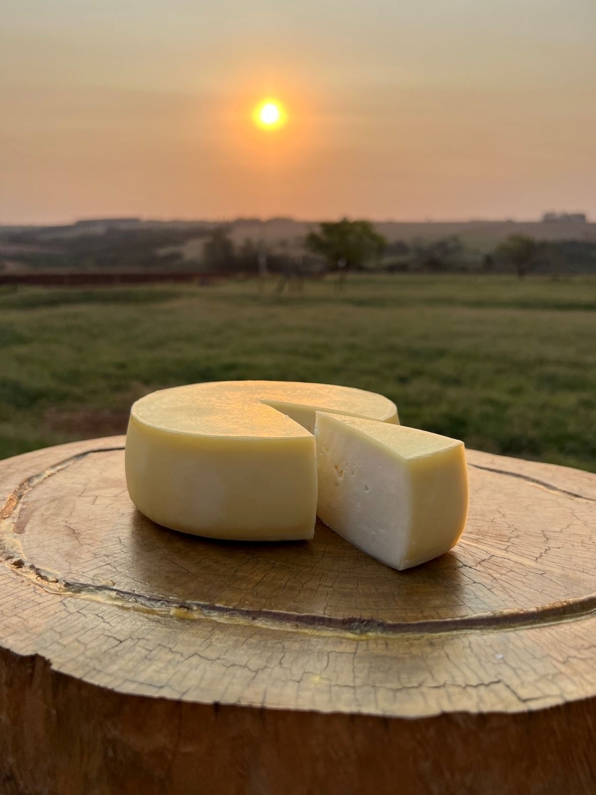 Ouro do Campo