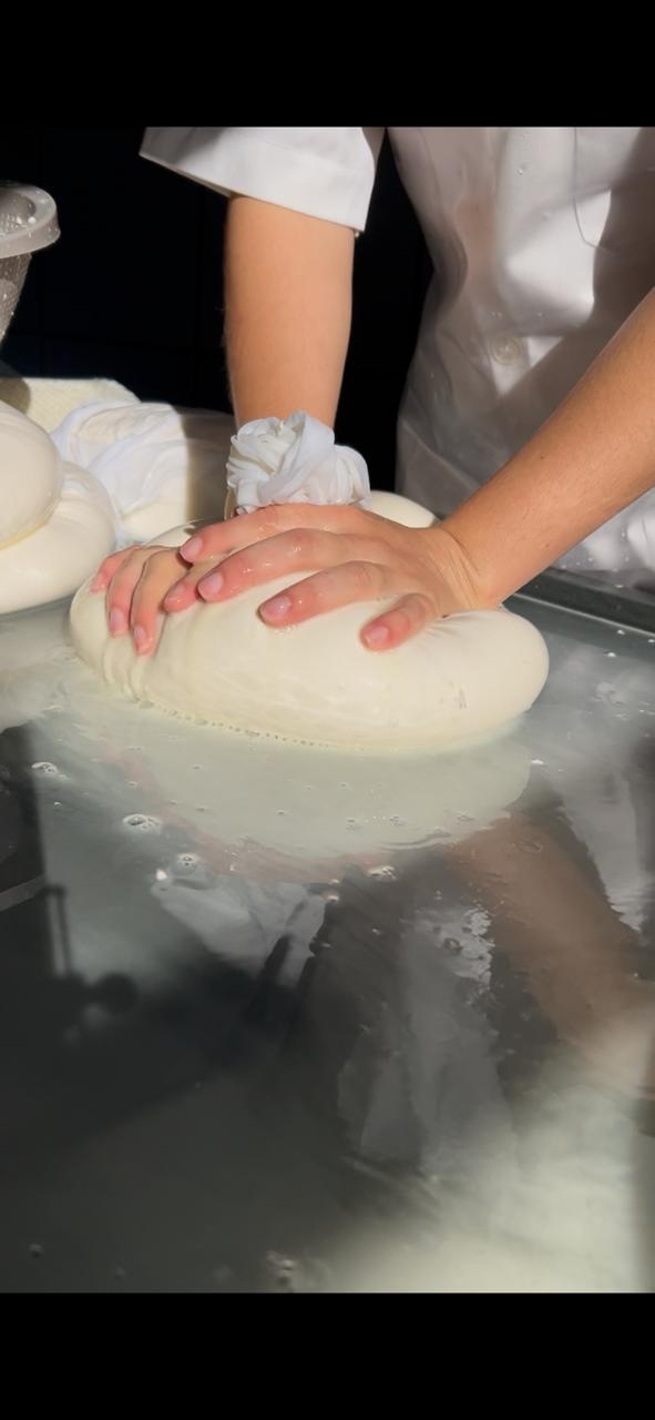 Produção do Queijo na parte da manhã, na queijaria da propriedade .