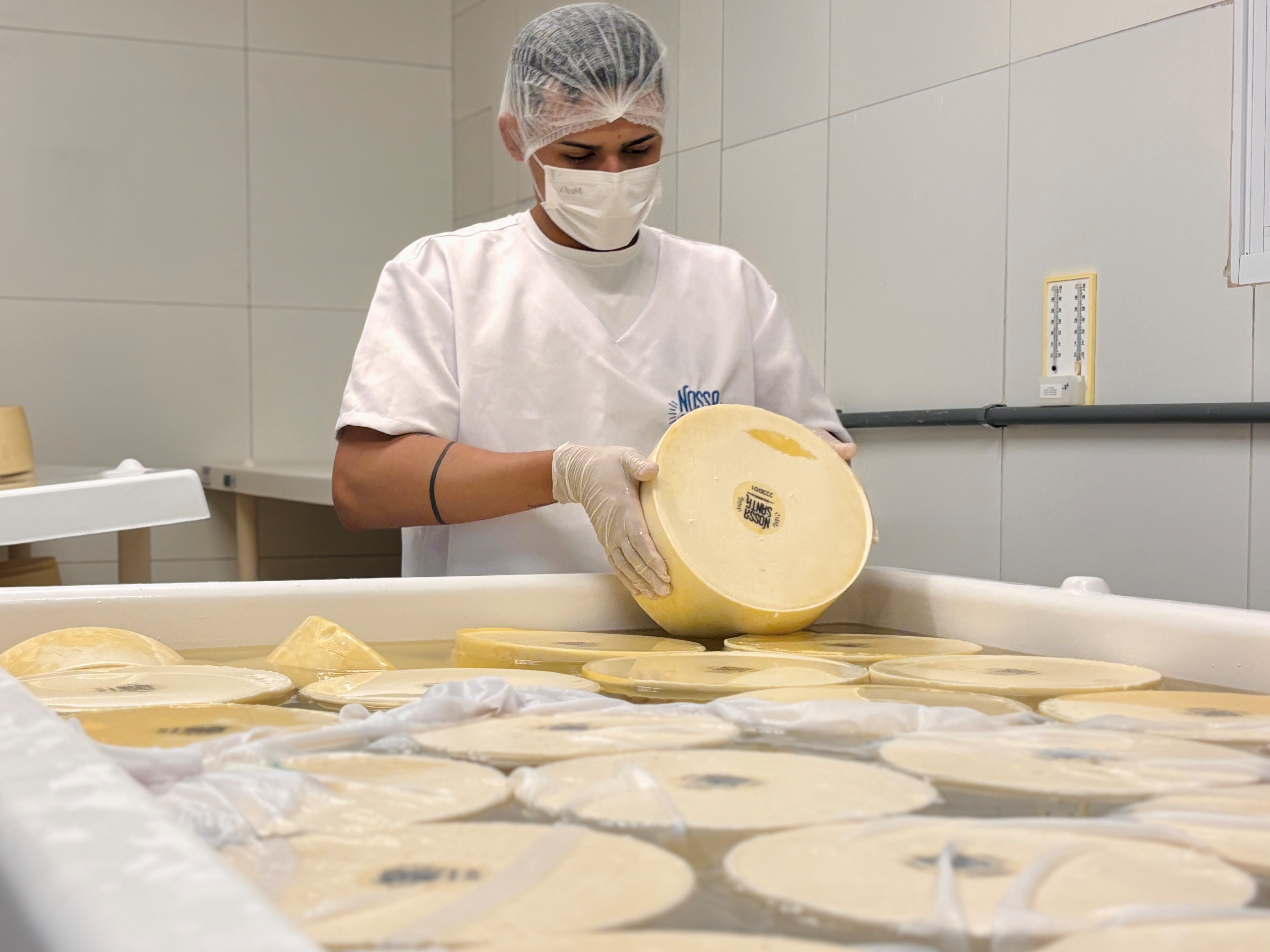 Processo de queijo maturado na salmoura