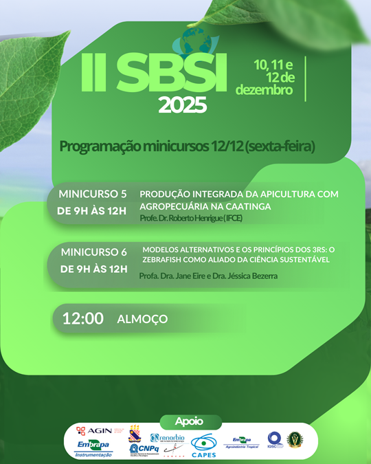 Programação Minicursos dia 12