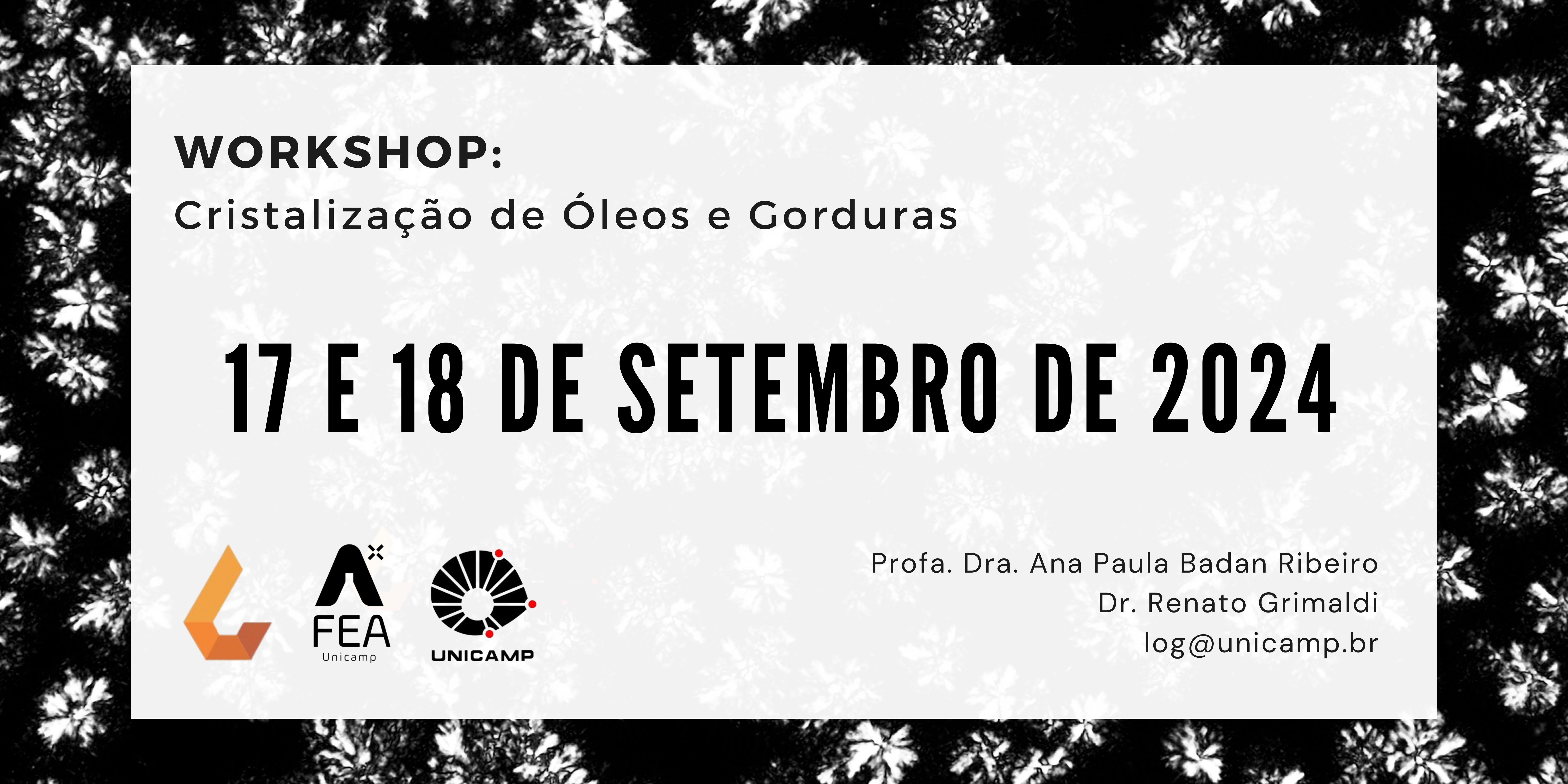 Workshop Cristalização a ser realizado nas datas 17 e 18 de setembro de 2024
