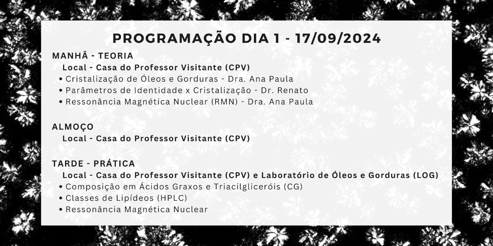 programação dia 1