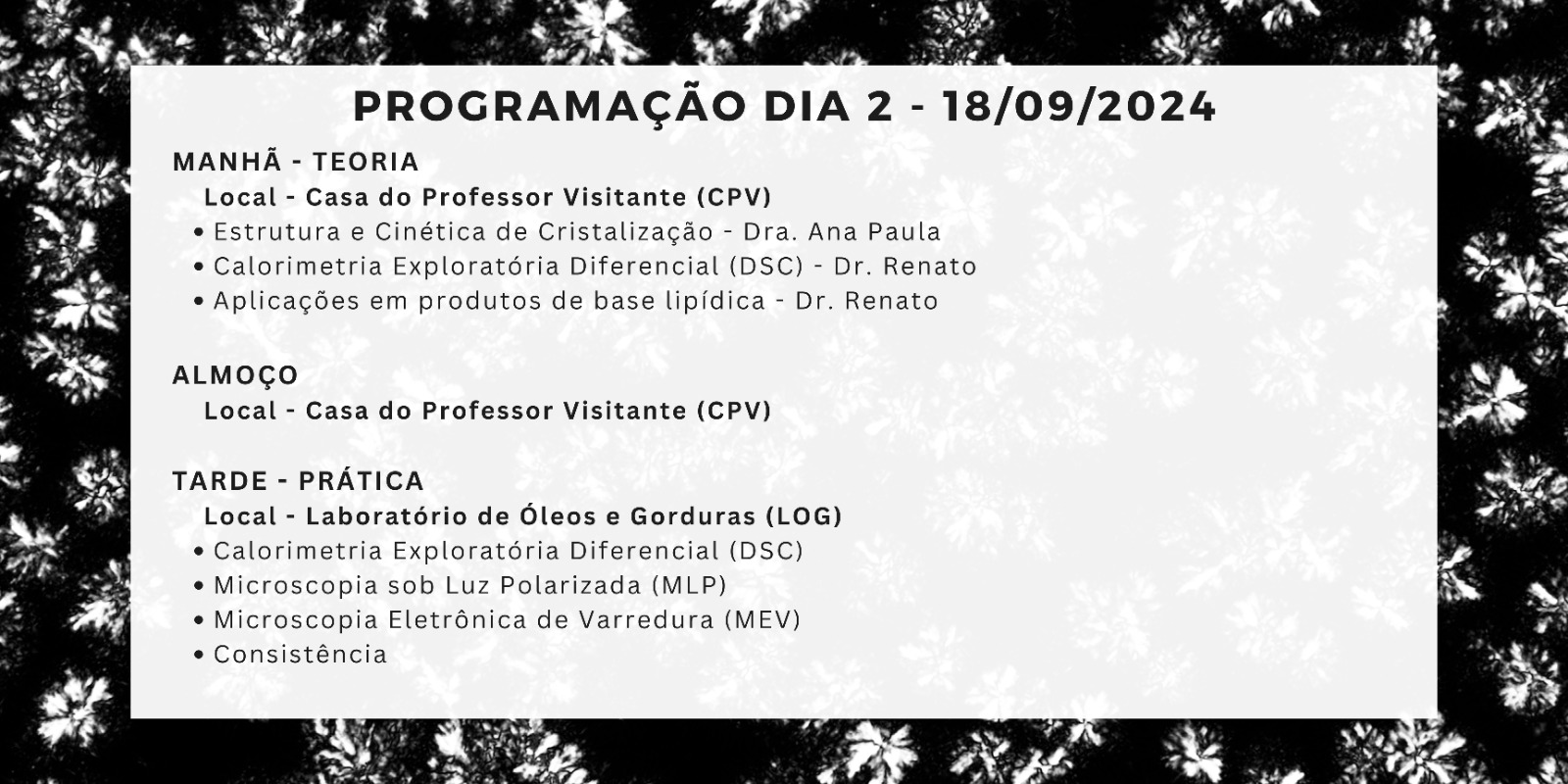 programação segundo dia