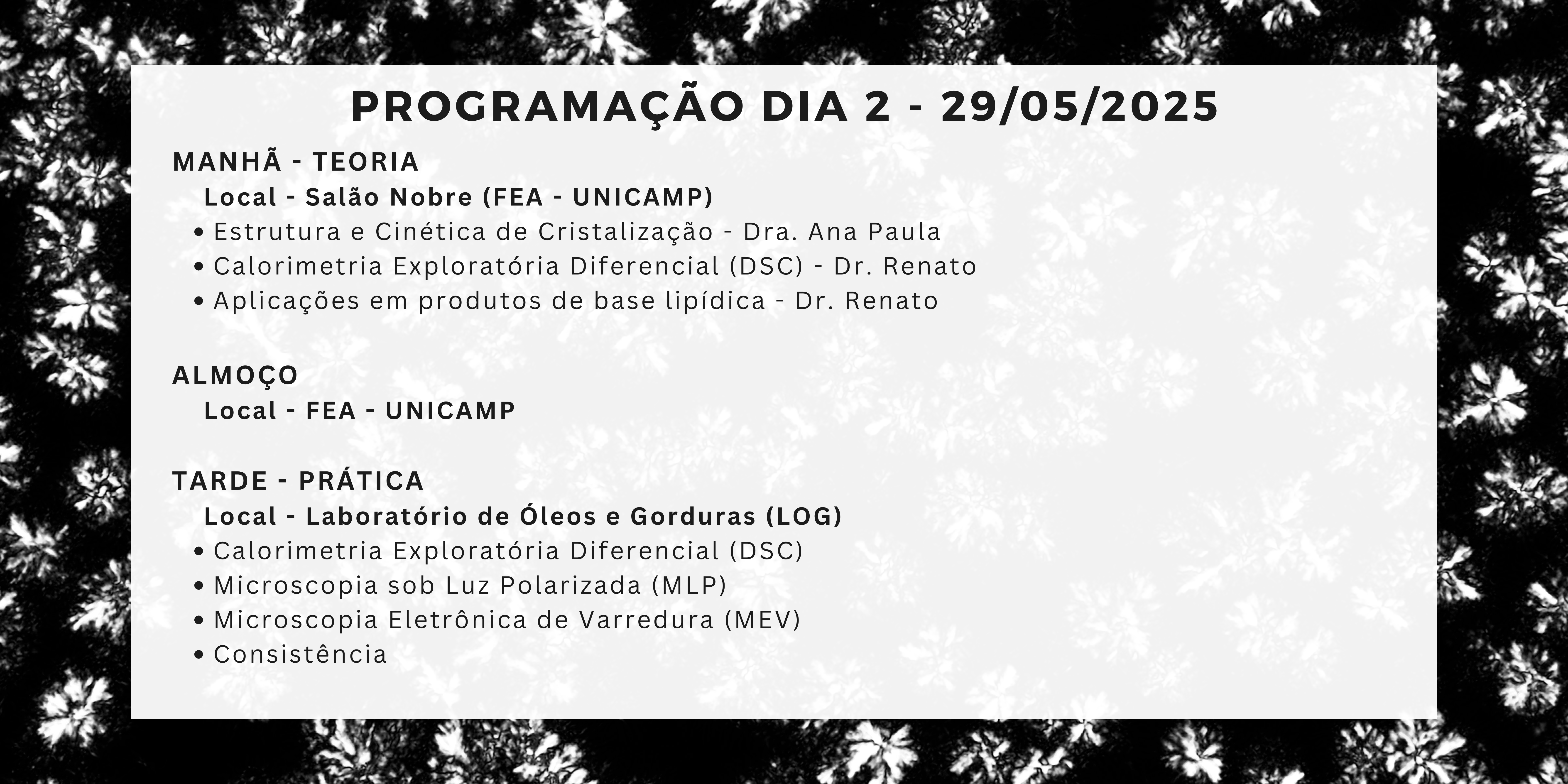 programação dia 2