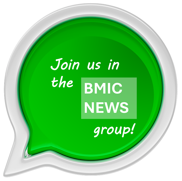 Grupo BMIC