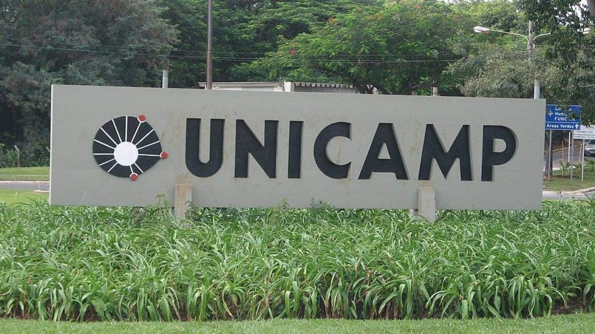 Universidade Estadual De Campinas - UNICAMP | SOBENA 2020 - 28th ...