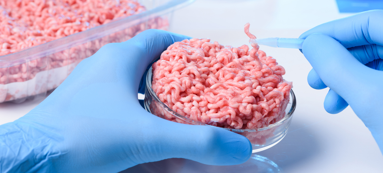 Laboratory Meat: Is This Idea Worth It?