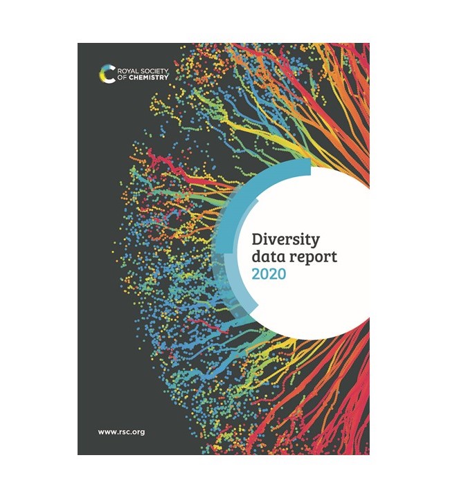 Diversity data report 2020