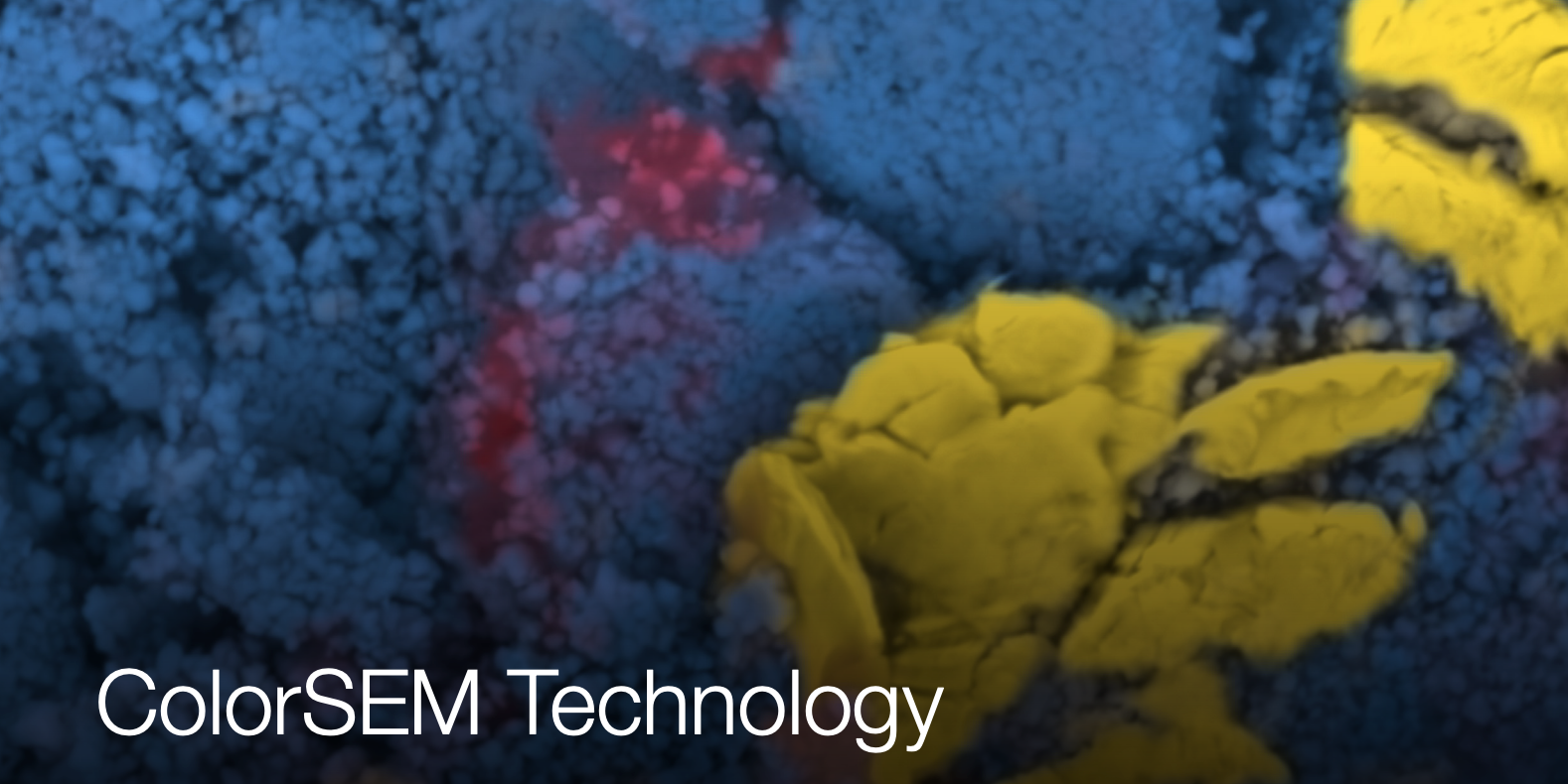 Técnologia ColorSEM: Informação mais rápida para descobertas mais rápidas Técnologia ColorSEM: Informação mais rápida para descobertas mais rápidas