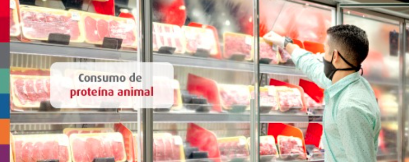 Consumo de proteína animal: faz mal comer carne todos os dias?