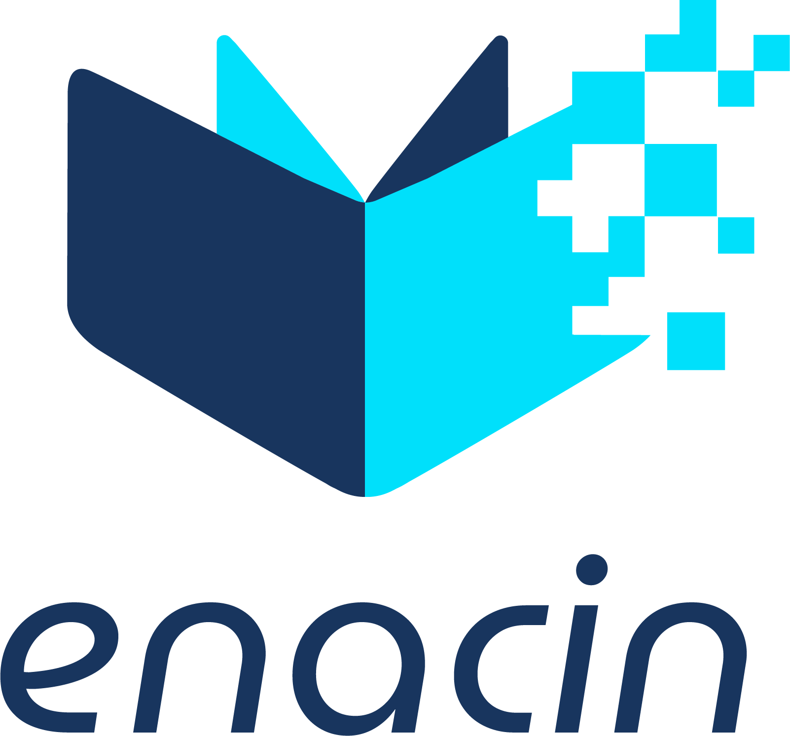 enacin