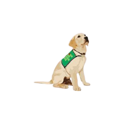 cão guia