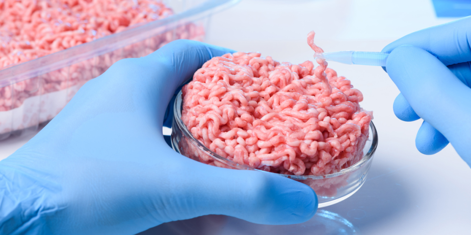Laboratory Meat: Is This Idea Worth It?