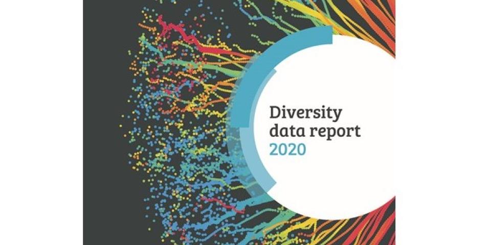 Diversity data report 2020