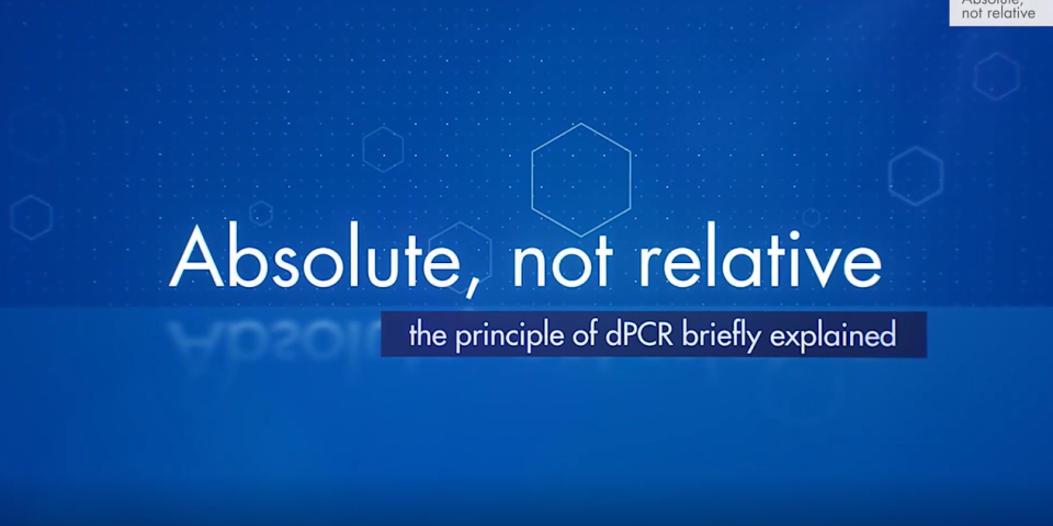 The Principle of dPCR briefly explained